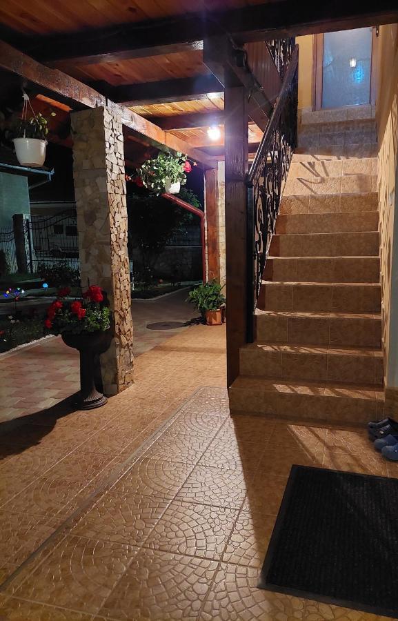 מלון Cîrţişoara Casa Cristina מראה חיצוני תמונה