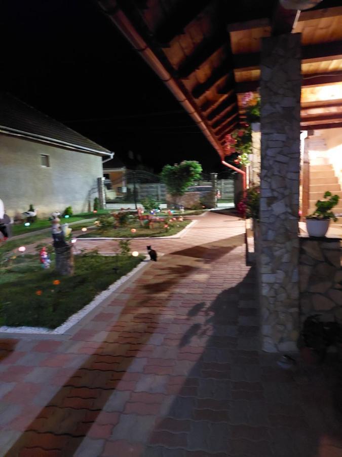 מלון Cîrţişoara Casa Cristina מראה חיצוני תמונה