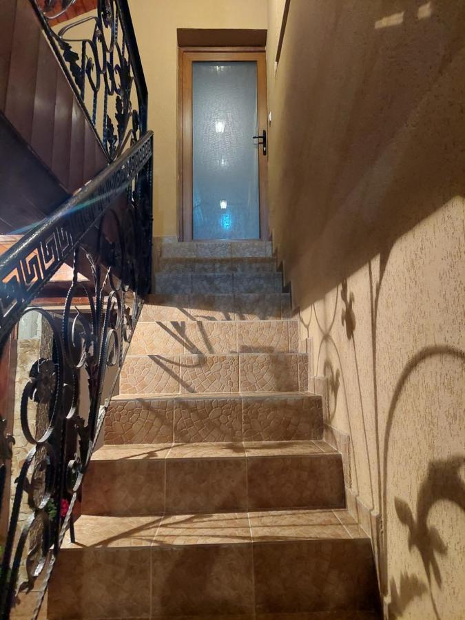 מלון Cîrţişoara Casa Cristina מראה חיצוני תמונה