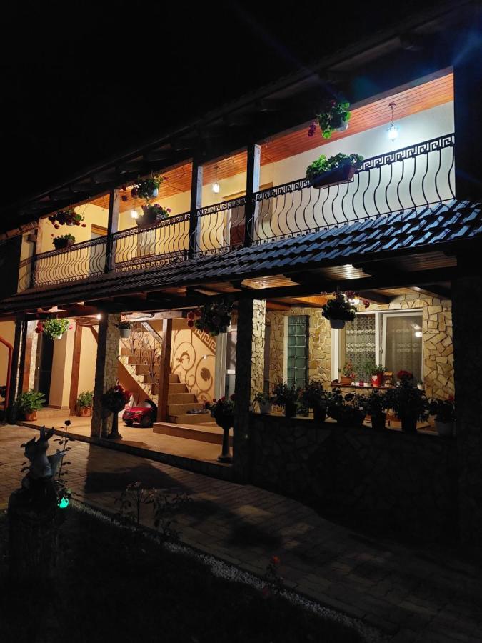 מלון Cîrţişoara Casa Cristina מראה חיצוני תמונה
