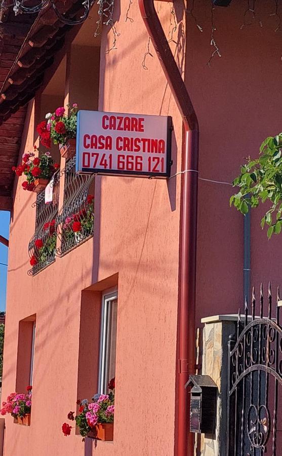 מלון Cîrţişoara Casa Cristina מראה חיצוני תמונה