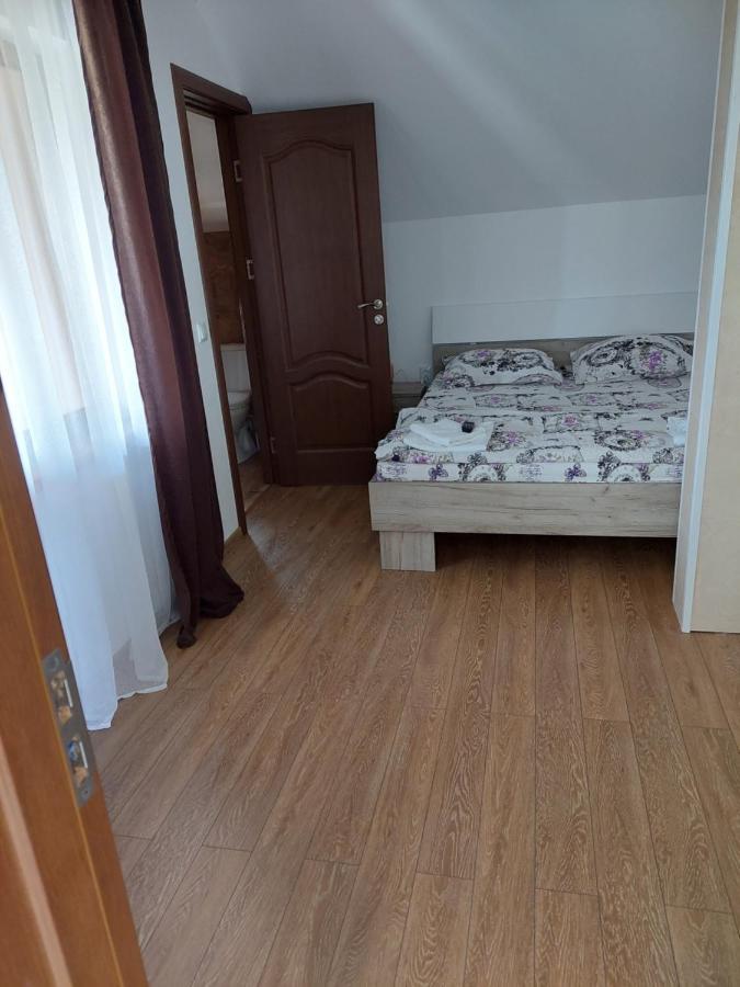 מלון Cîrţişoara Casa Cristina מראה חיצוני תמונה