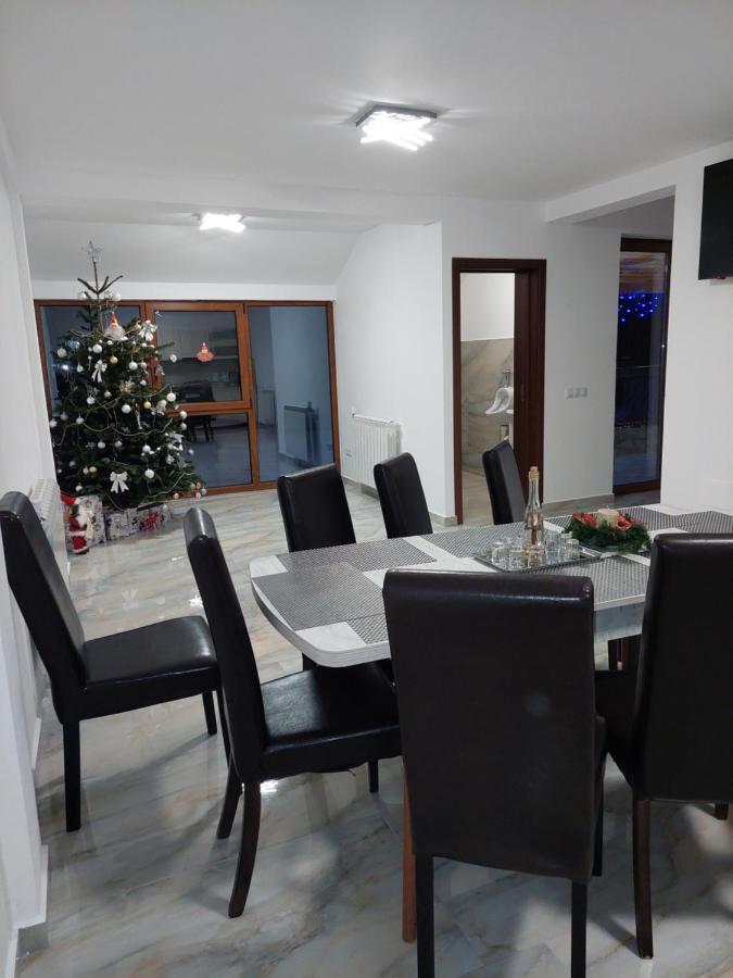 מלון Cîrţişoara Casa Cristina מראה חיצוני תמונה