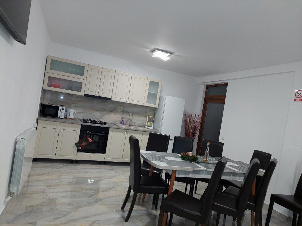 מלון Cîrţişoara Casa Cristina מראה חיצוני תמונה