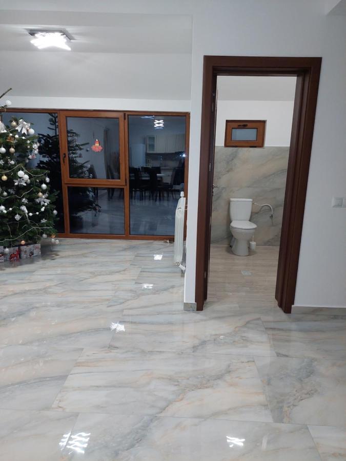 מלון Cîrţişoara Casa Cristina מראה חיצוני תמונה