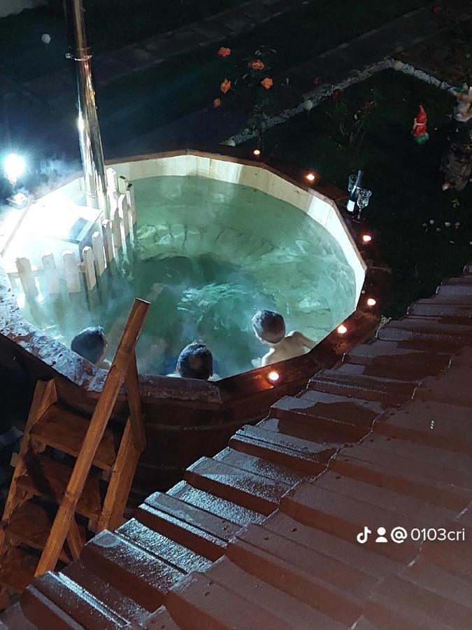 מלון Cîrţişoara Casa Cristina מראה חיצוני תמונה