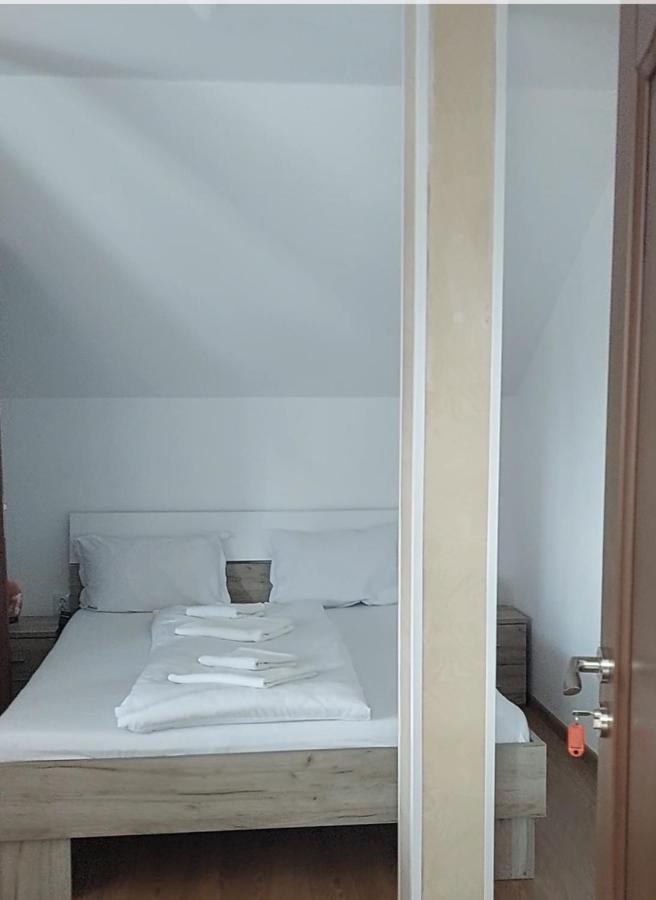 מלון Cîrţişoara Casa Cristina מראה חיצוני תמונה