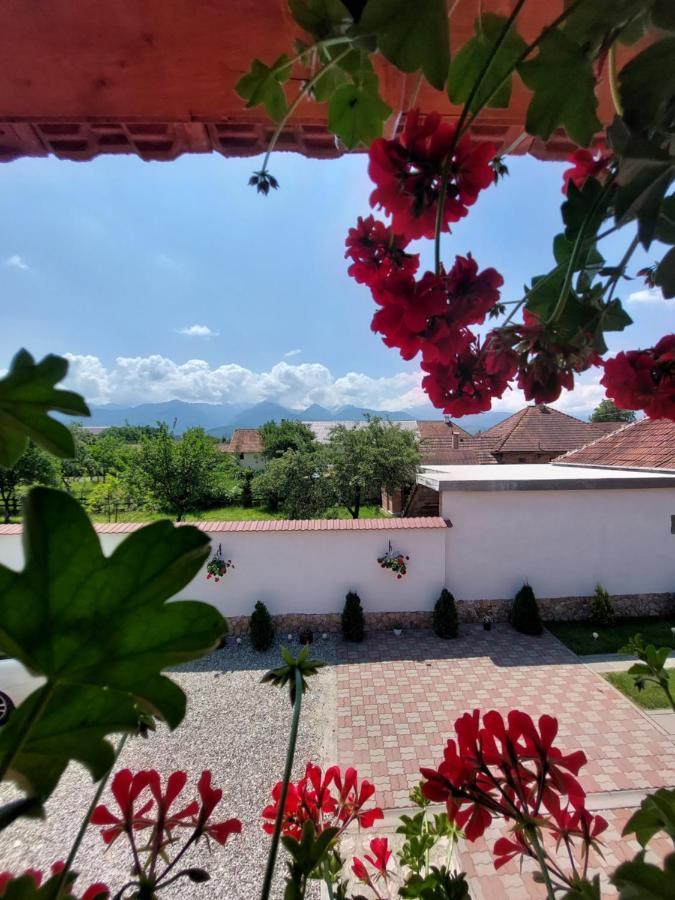 מלון Cîrţişoara Casa Cristina מראה חיצוני תמונה