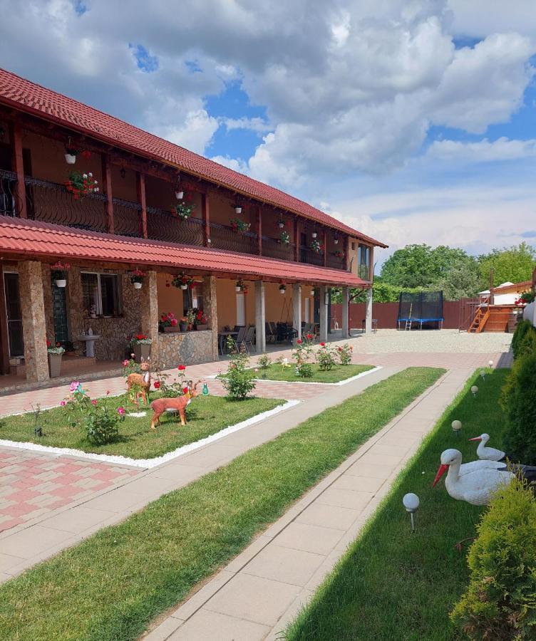 מלון Cîrţişoara Casa Cristina מראה חיצוני תמונה