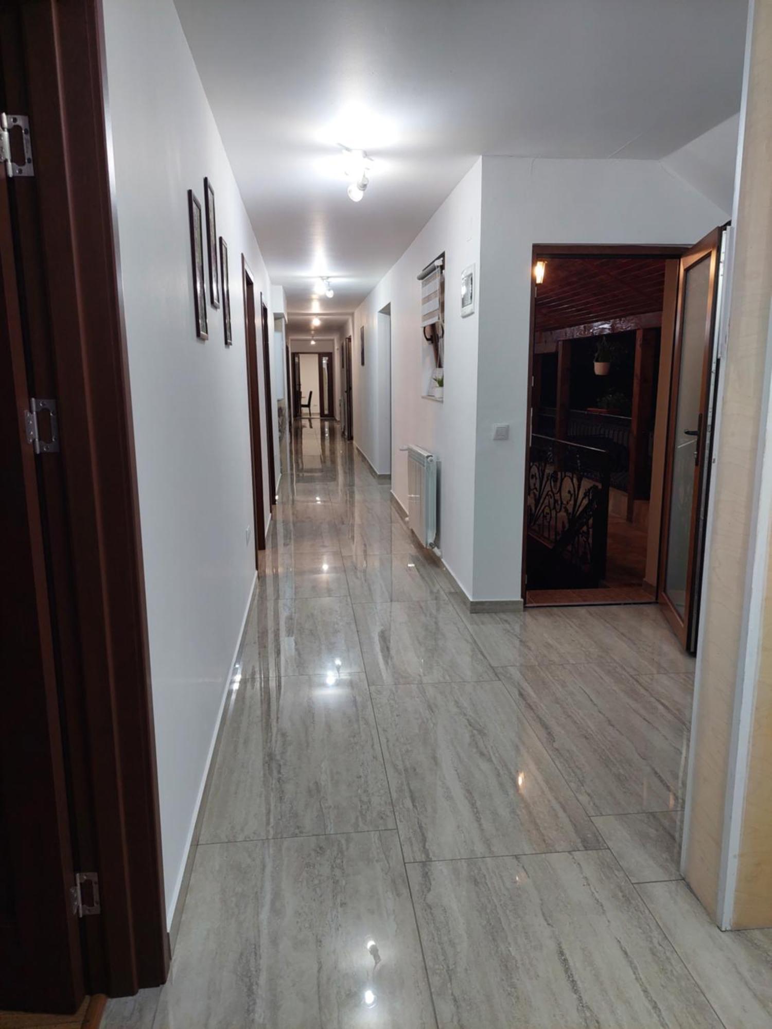 מלון Cîrţişoara Casa Cristina מראה חיצוני תמונה